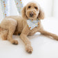 Puppy Dreams Bandana