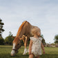 Muslin Romper | Wild Horses