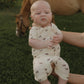 Shortie Bamboo Zip | Wild Horses