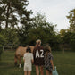Adult Sweatshirt | ff Arizona