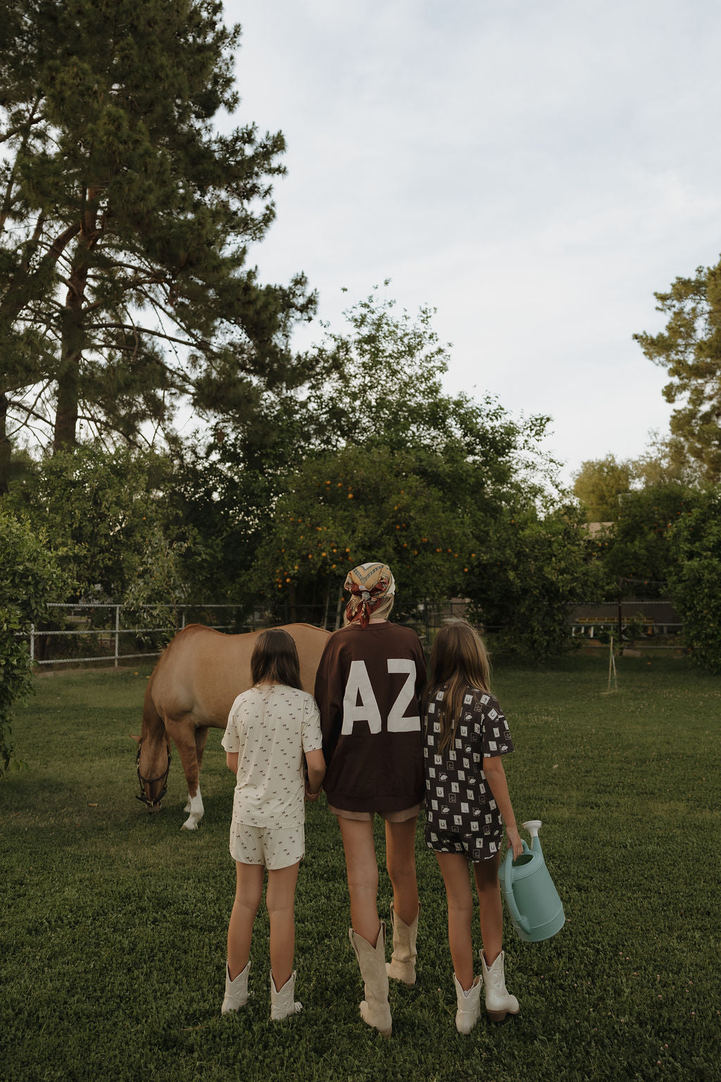 Adult Sweatshirt | ff Arizona