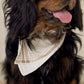 Bamboo Bandana | Ellis Plaid