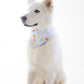 Puppy Dreams Bandana