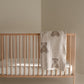 Plush Blanket | Teddy