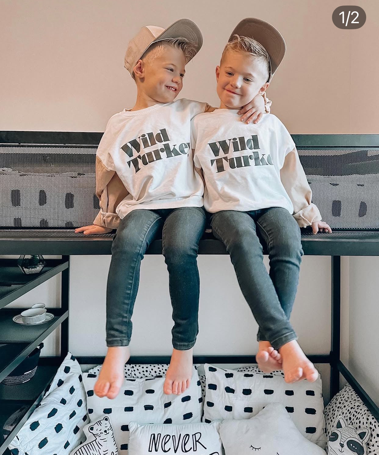 Wild Turkey | Colorblock